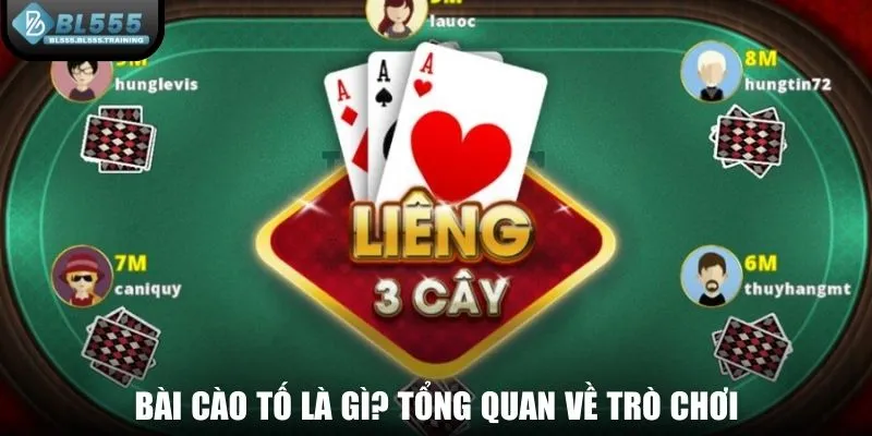 Bài cào tố là gì? Tổng quan về trò chơi
