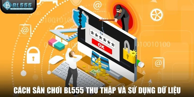 Cách sân chơi BL555 thu thập và sử dụng dữ liệu