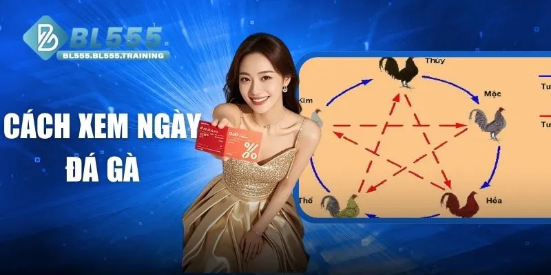 Cách Xem Ngày Đá Gà Chuẩn Xác Được Nhiều Sư Kê Áp Dụng