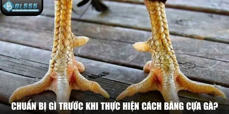 Chuẩn bị trước khi thực hiện cách băng cựa gà?