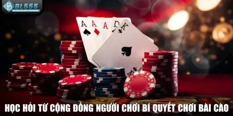 Học hỏi từ cộng đồng người chơi về bí quyết chơi bài cào