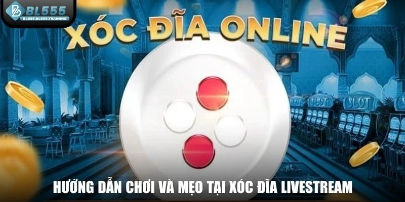Hướng dẫn chơi và mẹo tại Xóc Đĩa Livestream