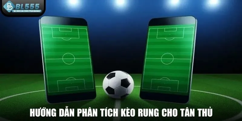 Hướng dẫn phân tích kèo rung cho tân thủ