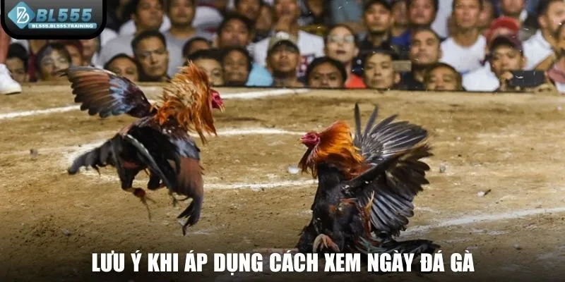 Lưu ý khi vận dụng cách xem ngày đá gà