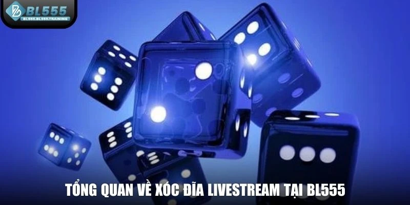 Tổng quan về Xóc Đĩa Livestream tại BL555